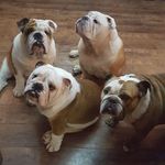 Sonia Mcleod - @mcleod_nigel - Instagram