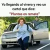 Sonia Melara - @soniamelara2 - TikTok
