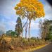Sonia Merida - Facebook