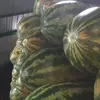Sonia Merida - @sonia.merida2 - TikTok