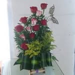 Sonia moncada - @smoncada894 - Instagram