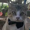 Sonia Moraga - @sonia.moraga7 - TikTok