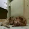 Sonia Moran - @sonia.moran1 - TikTok