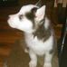 Sonia Nicholson - Facebook