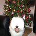 Sonia Nicholson - Facebook