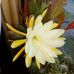 Sonia Ojeda - Facebook
