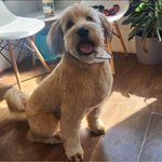 Sonia Ouellet - @sonia.ouellet.14 - Instagram