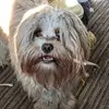 soniaparsons493 - @soniaparsons493 - TikTok