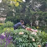 Sonia Caraglia Peck - @eastiegirlgarden - Instagram