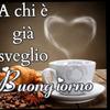 Sonia Perrone - @sonia.perrone0 - TikTok