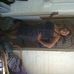 Sonia Petersen - Facebook