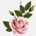 Sonia Polanco - Facebook