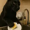 Sonia Popescu - @sonia.popescu0 - TikTok