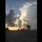Sonya Proctor - @frolralmola - Instagram