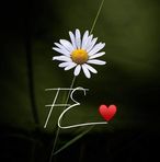 Sonia Razo - Facebook