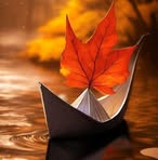 Sonia Real - Facebook