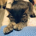 Sonia Rees - @soniarees327 - Instagram