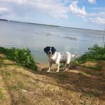 soniarees - @soniarees81 - Instagram