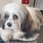 Sonia Renner - @soniarenner72 - Instagram