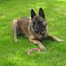 Sonia Rieger - Facebook