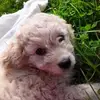 Sonia._.riera_ - @sonia._.riera_ - TikTok