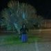 Sonia Rincones - Facebook