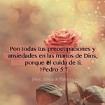 Sonia Risco - @sonia.risco.92 - Instagram