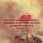 Sonia Risco - Facebook
