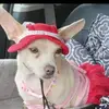 Sonia Rivas662 - @soniarivas662 - TikTok