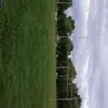 sonia rivas - @sonia.rivas622 - TikTok