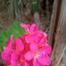 Sonia Rojas - Facebook