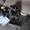 Sonia Rowley - @user6170063221381 - TikTok