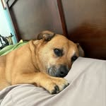 Sonia Rubin - @soniarubin770 - Instagram
