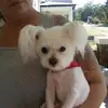 Sonia Rushing - @soniarushing - TikTok