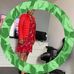 Sonia Ryan - Facebook
