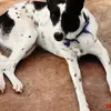 Sonia Samson - @sonia.samson68 - TikTok