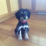 Sonia Saunders - Facebook