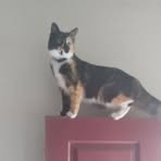 Sonia Servin - Facebook