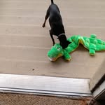 Sonia Shaffer - @sonia.shaffer.3785 - Instagram
