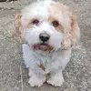 soniasheppard39 - @soniasheppard39 - TikTok