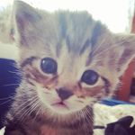 sonia simpson - @soniasimpson62 - Instagram