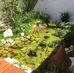 Sonia Soares - Facebook