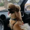 soniasoinoff - @soniasoino - TikTok