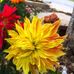 Sonia Soni - Facebook