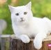 Sonia Soni - Facebook