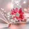 soniasonii7 - @soniasonii7 - TikTok