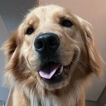 Sônia Torrez “ Sra Sky “ - @sonhatorrez - Instagram
