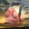 Sonya Upton - @sonyaupton - TikTok