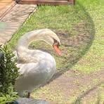 Sonia Varela - Facebook