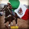 Sonia Vega591 - @soniavega591 - TikTok